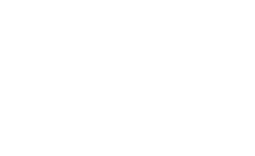 Statewide Party Rentals Logo